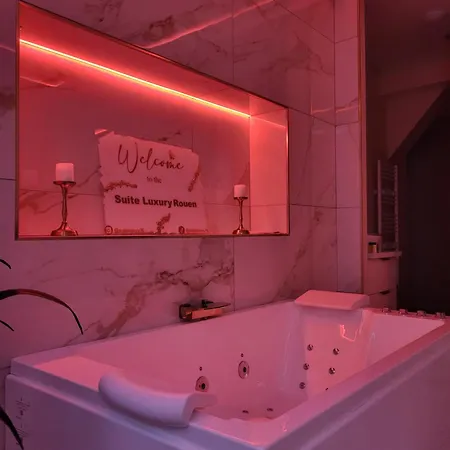 Luxury 公寓 鲁昂