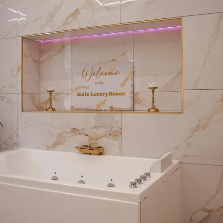 公寓 Luxury 鲁昂